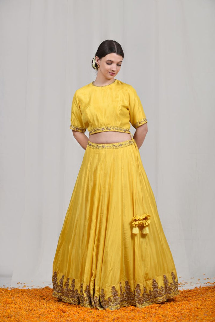 Bahaar lehenga set-2
